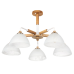 Потолочная люстра Arte Lamp Matthew A5032PL-5BR