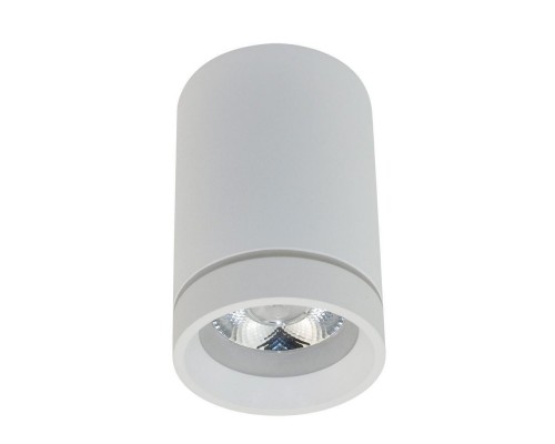 Потолочный светодиодный светильник Aployt Edda APL.0053.09.10