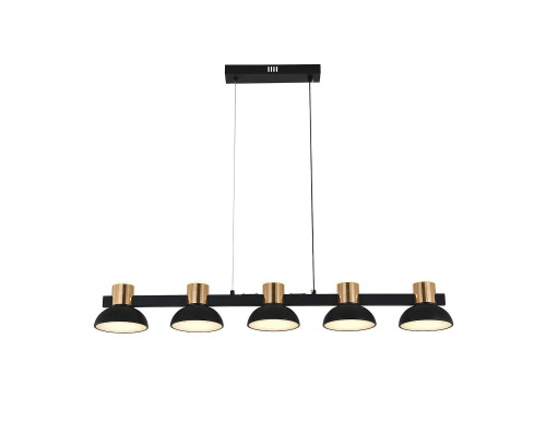 Подвесная светодиодная люстра Indigo Traforo 11059/5PL Black V000184L Подвесная светодиодная люстра Indigo Traforo 11059/5PL Black V000184L