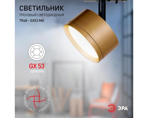 Трековый однофазный светильник ЭРА TR48 - GX53 MG Б0054160 Трековый однофазный светильник ЭРА TR48 - GX53 MG Б0054160