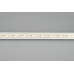 Светодиодная влагозащищенная лента Arlight 16,8W/m 120LED/m 2835SMD холодный белый 5M 029595(2)