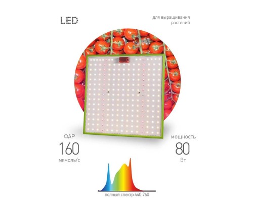 Прожектор светодиодный для растений ЭРА 50W 1310K Fito-80W-Led-QB Б0053285