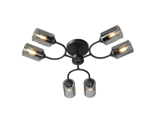 Потолочная люстра Vitaluce V2823-1/6PL