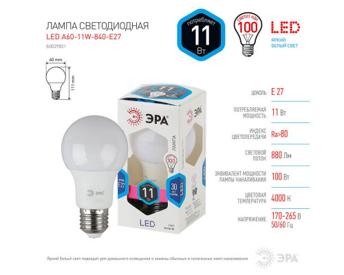 Лампа светодиодная ЭРА E27 11W 4000K матовая LED A60-11W-840-E27 Б0029821