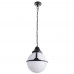 Уличный подвесной светильник Arte Lamp Monaco A1495SO-1BK