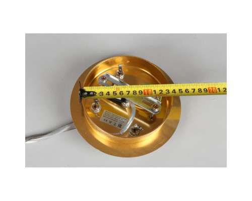 Подвесная люстра Aployt Zhozefina APL.849.03.13