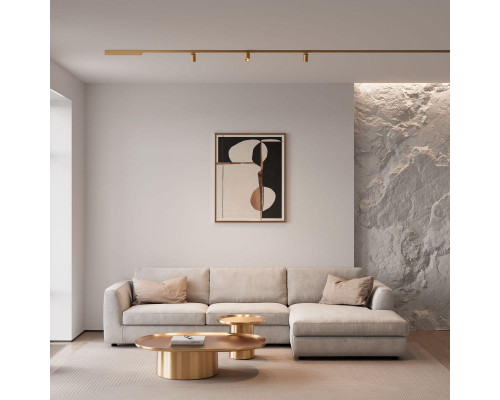 Трековый светодиодный светильник Elektrostandard Brass Line 85526/01 a069634 Трековый светодиодный светильник Elektrostandard Brass Line 85526/01 a069634