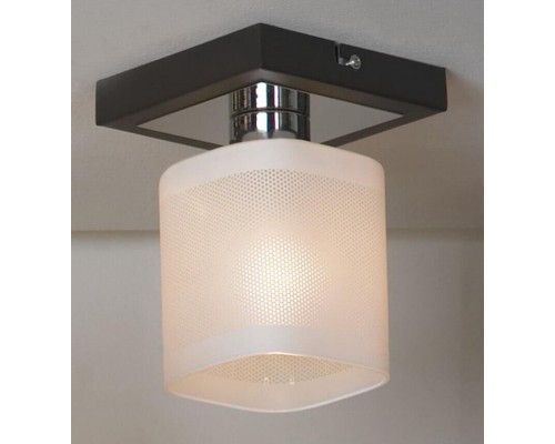 Потолочный светильник Lussole Costanzo LSL-9007-01 Потолочный светильник Lussole Costanzo LSL-9007-01