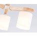 Потолочная люстра Ambrella light Traditional Loft TR83112