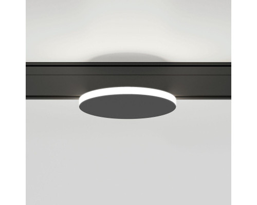 Трековый светодиодный светильник Elektrostandard Slim Magnetic Cally 85172/01 a065984 Трековый светодиодный светильник Elektrostandard Slim Magnetic Cally 85172/01 a065984