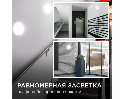 Накладной светодиодный светильник Apeyron 28-02 Накладной светодиодный светильник Apeyron 28-02