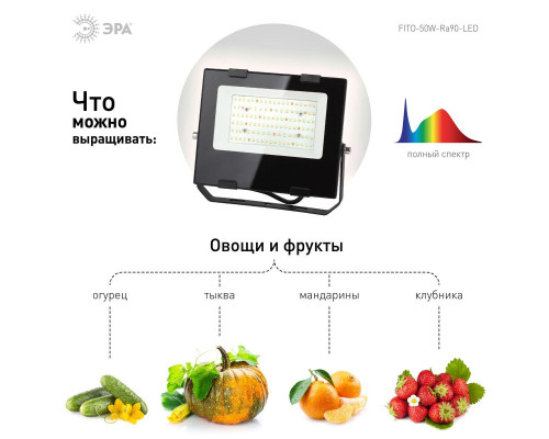 Прожектор светодиодный для растений ЭРА Fito-50W-Ra90-Led Б0047875