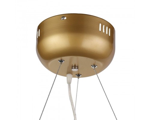Подвесная люстра ST Luce Riccardo SL411.233.45 Подвесная люстра ST Luce Riccardo SL411.233.45