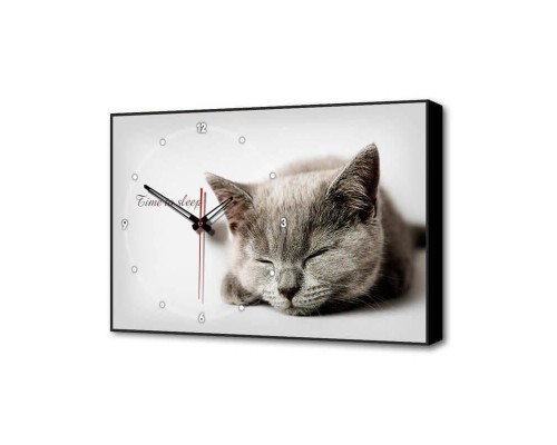 Настенные часы Серая кошка Timebox Toplight 37х60х4см TL-C5022