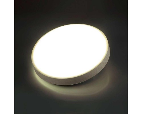 Настенно-потолочный светодиодный светильник Sonex Losta 7628/CL