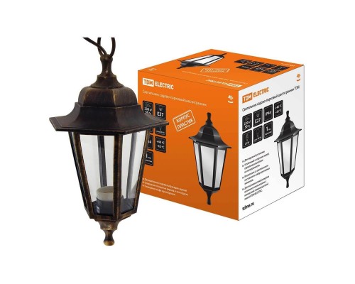 Уличный подвесной светильник TDM Electric НСУ 06-60-001 SQ0330-0713 Уличный подвесной светильник TDM Electric НСУ 06-60-001 SQ0330-0713