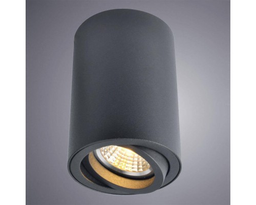 Потолочный светильник Arte Lamp A1560PL-1BK