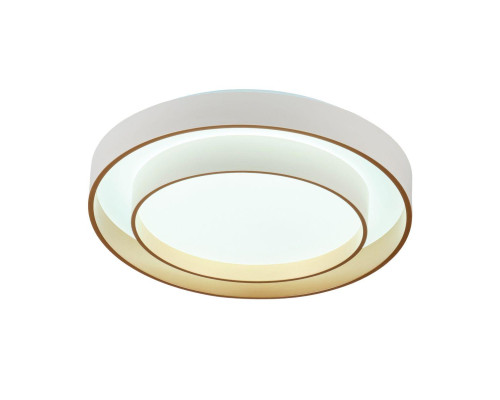 Потолочный светодиодный светильник MyFar Ceiling Rhea MR9161-CL