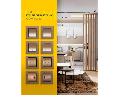Розетка 2P Vesta-Electric Exclusive Champagne Metallic шампань FRZ00041007BSH Розетка 2P Vesta-Electric Exclusive Champagne Metallic шампань FRZ00041007BSH