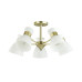Потолочная люстра Lumion Comfi Wilma 4535/5C