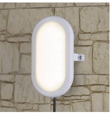 Пылевлагозащищенный светильник Elektrostandard LTB0102D LED 22 см 12W белый a036710