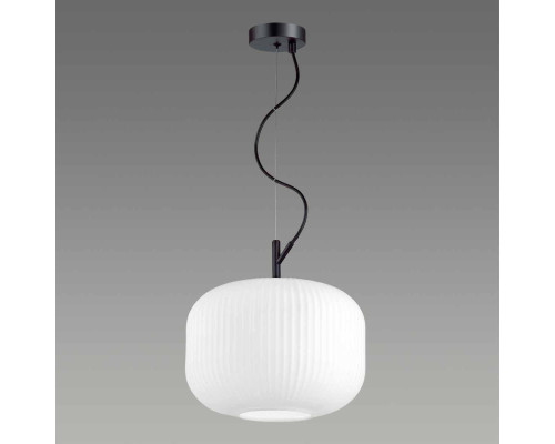 Подвесной светильник Odeon Light Pendant Roofi 4754/1