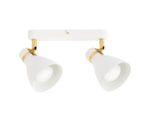 Спот Arte Lamp Fafnir A5047PL-2WH Спот Arte Lamp Fafnir A5047PL-2WH