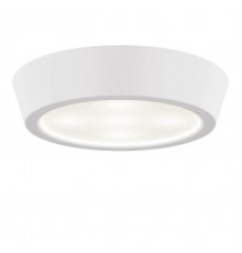 Потолочный светильник Lightstar Urbano Mini LED 214704