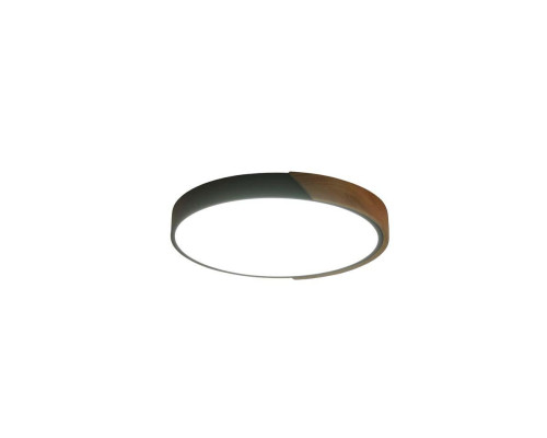 Потолочный светильник Zortes ALBERRO ZRS.01237.90 Потолочный светильник Zortes ALBERRO ZRS.01237.90