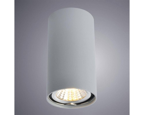 Потолочный светильник Arte Lamp A1516PL-1GY