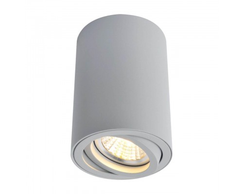 Потолочный светильник Arte Lamp A1560PL-1GY