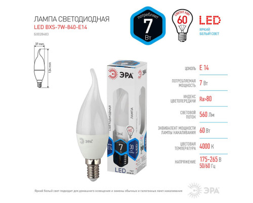 Лампа светодиодная ЭРА E14 7W 4000K матовая LED BXS-7W-840-E14 Б0028483 Лампа светодиодная ЭРА E14 7W 4000K матовая LED BXS-7W-840-E14 Б0028483
