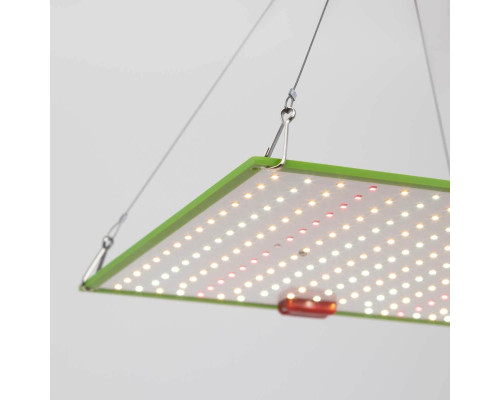 Прожектор светодиодный для растений ЭРА 50W 1310K Fito-80W-Led-QB Б0053285 Прожектор светодиодный для растений ЭРА 50W 1310K Fito-80W-Led-QB Б0053285