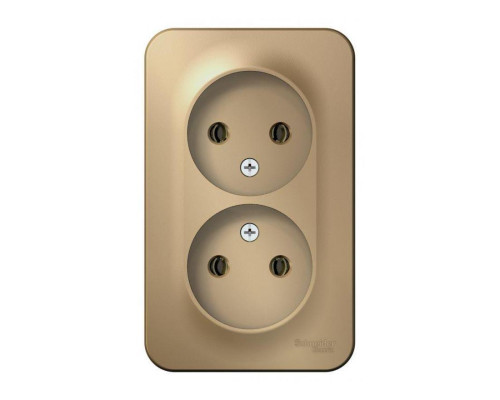 Розетка двойная 2К Systeme Electric Blanca 16A 250V титан BLNRA000214 Розетка двойная 2К Systeme Electric Blanca 16A 250V титан BLNRA000214