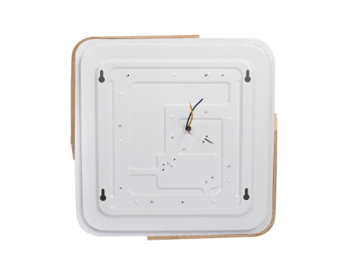 Потолочный светодиодный светильник Jazzway PPB Sсandic-S 5037373