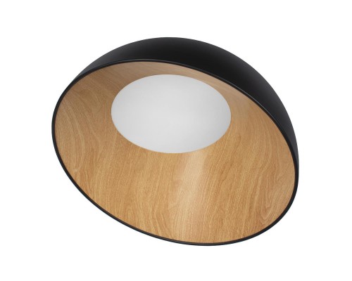 Потолочный светодиодный светильник Loft IT Egg 10197/500 Black Потолочный светодиодный светильник Loft IT Egg 10197/500 Black