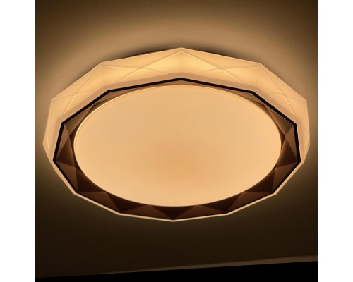 Потолочный светодиодный светильник Profit Light 2070/450 WH+CR RGB