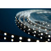Светодиодная влагозащищенная лента DesignLed 4,8W/m 60LED/m 3528SMD холодный белый 5M 000524