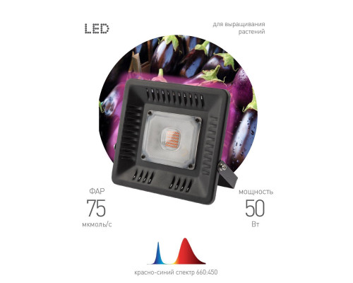 Прожектор светодиодный ЭРА 50W 1370K Fito-50W-Led Б0039033 Прожектор светодиодный ЭРА 50W 1370K Fito-50W-Led Б0039033