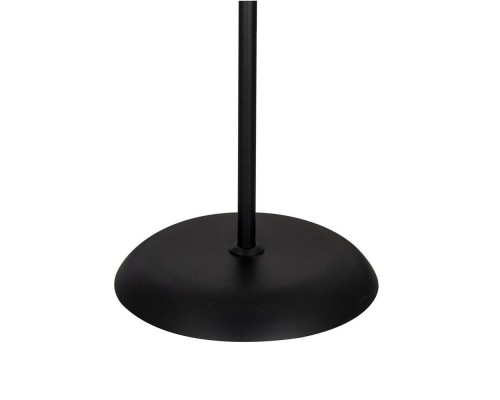 Торшер Arte Lamp Duetto A9569PN-2BK