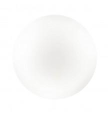 Настенно-потолочный светильник Sonex Pale Simple 3017/CL