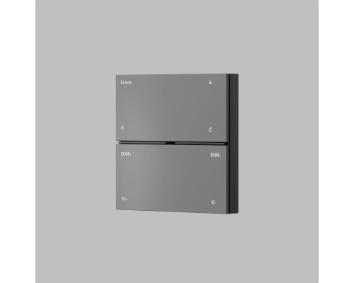 Панель управления Denkirs Control BT DK7201-DG