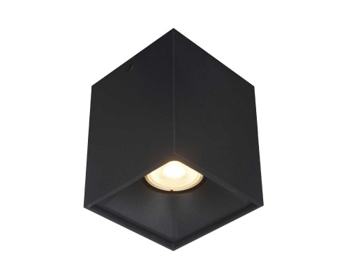 Накладной светильник ST LUCE ST168.402.01