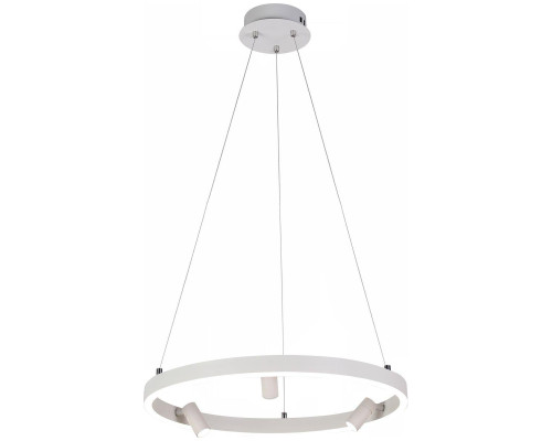 Подвесная светодиодная люстра Reluce 02476-0.4-500