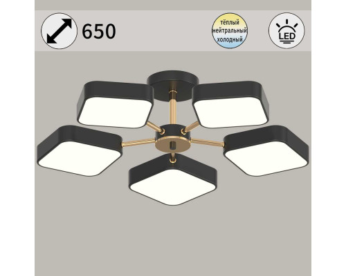 Светильник потолочный Reluce 03360-0.3-05 BK+FGD