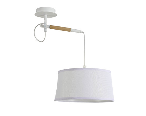 Подвесной светильник F-Promo Eureka 3005-1P Подвесной светильник F-Promo Eureka 3005-1P