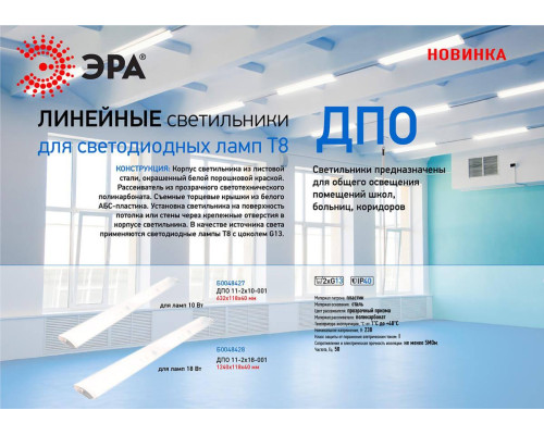 Настенно-потолочный светильник ЭРА ДПО 11-2х18-001 Б0048428