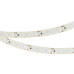 Светодиодная лента Arlight 19,2W/m 160LED/m 2835SMD дневной белый 5M 036015