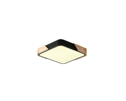 Потолочный светильник Zortes ALBERRO ZRS.01281.60 Потолочный светильник Zortes ALBERRO ZRS.01281.60