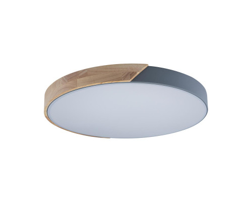 Потолочный светодиодный светильник Loft IT Axel 10004/36 grey Потолочный светодиодный светильник Loft IT Axel 10004/36 grey